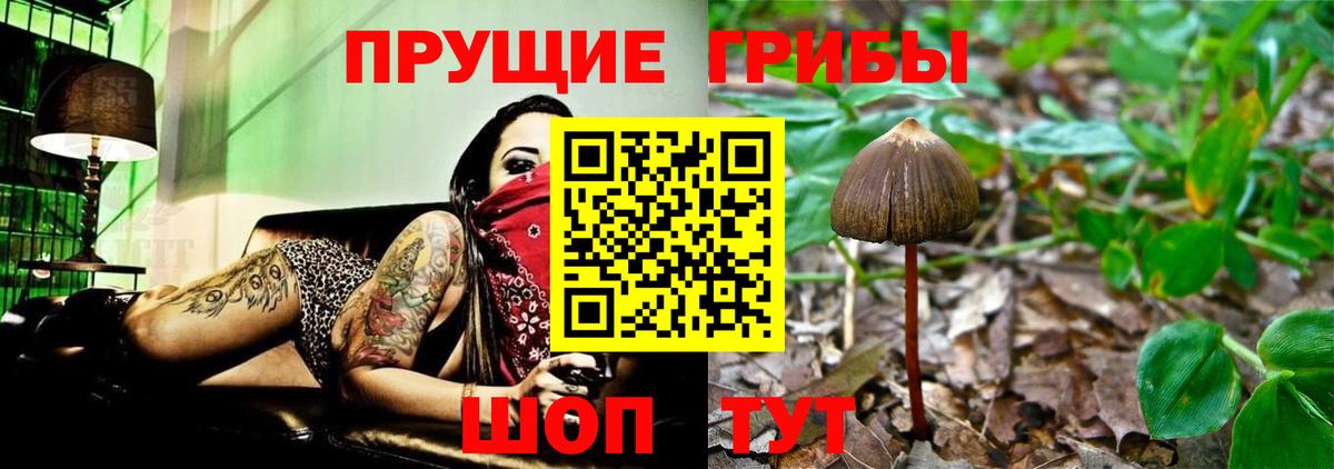 Галлюциногенные грибы мицелий  Вход с VPN  Воткинск 